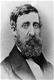 Henry David Thoreau
Source: Wikipedia

Click this image to see more information on Wikipedia